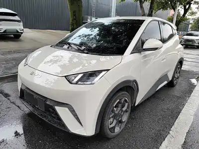 BYD Seagull 2025