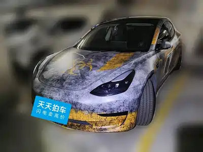 Tesla Model 3 2021