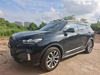 WEY VV6 2019