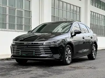 BYD Destroyer 05 2024
