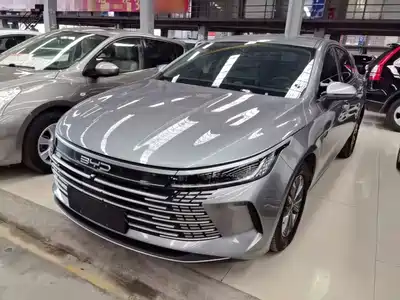 BYD Destroyer 05 2024