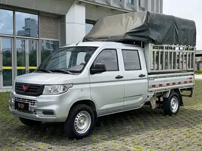 Wuling Motors Rongguang New Truck 2021