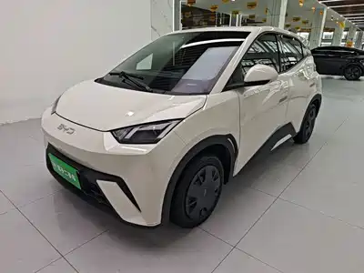 BYD Seagull 2024