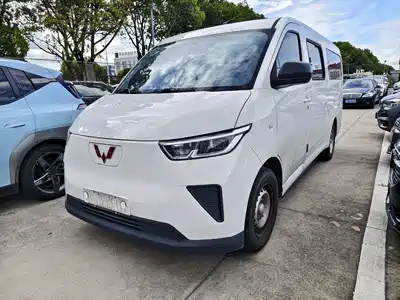 Wuling Motors Yangguang 2024