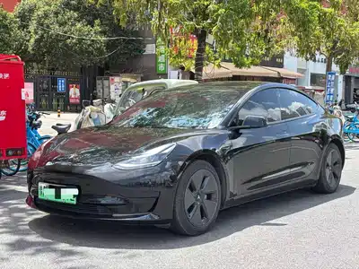 Tesla Model 3 2021
