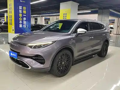 Denza X 2020