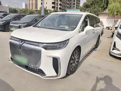 Voyah Auto Dreamer 2024