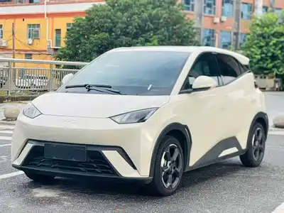 BYD Seagull 2024