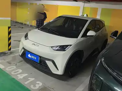 BYD Seagull 2024