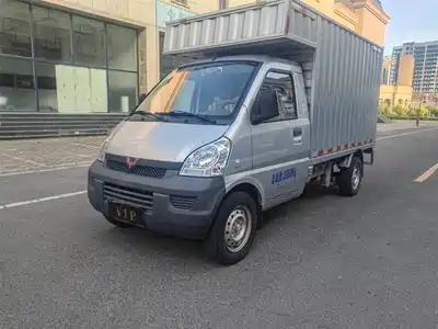 Wuling Motors Rongguang Mini Truck 2022