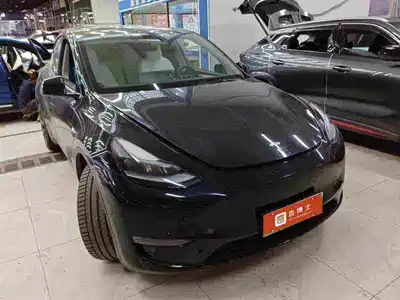 Tesla Model Y 2021