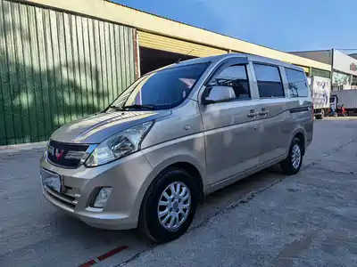 Wuling Motors Rongguang V 2016