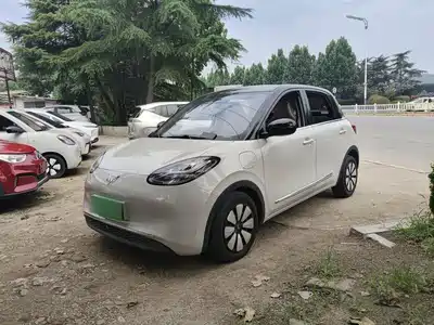 Wuling Motors Bingo 2023