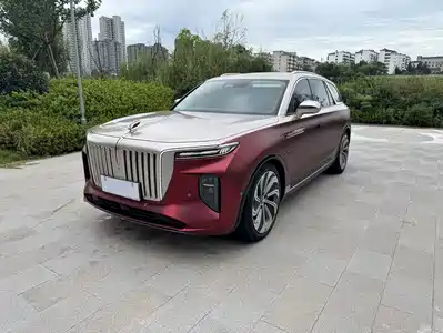 Hongqi E-HS9 2021