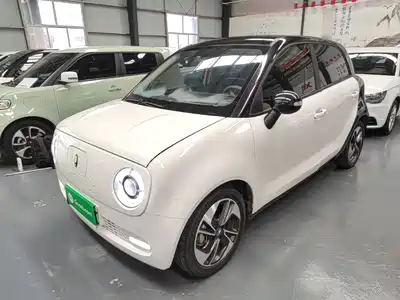 Ora Black Cat 2022