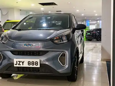 QQ New Energy Little Ant 2019