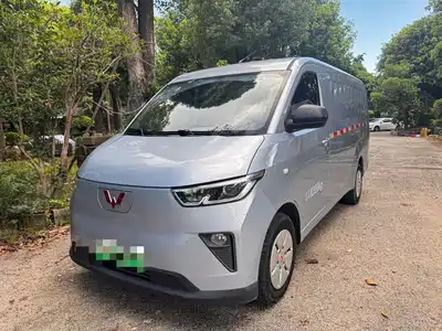 Wuling Motors Yangguang 2024