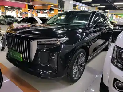 Hongqi E-HS9 2023