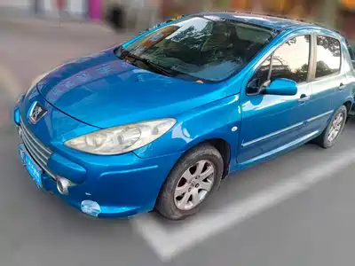 Peugeot 307 2010