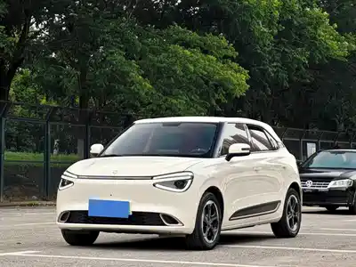 Dongfeng Yipai Nano 01 2024