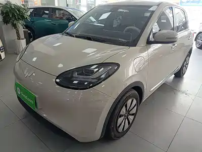 Wuling Motors Bingo 2024