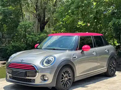 MINI MINI 2019