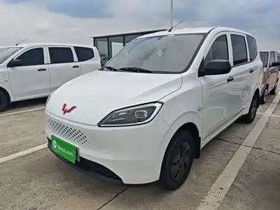 Wuling Motors Hongguang New Energy 2025