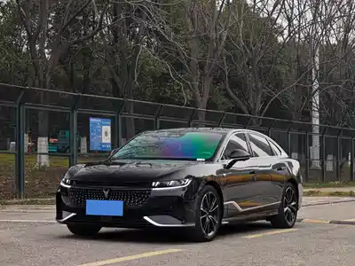 Voyah Auto Zhuiguang 2024