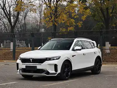 Voyah Auto FREE 2023