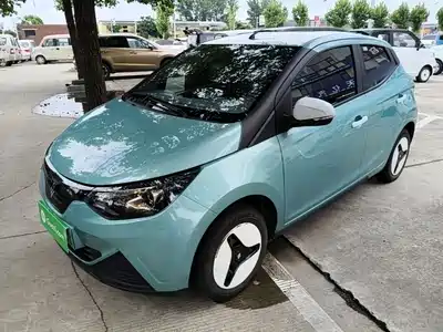 JMCG New Energy Little Kirin 2025