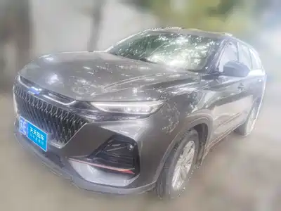 Changan Oshan X7 PLUS 2022