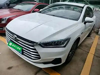BYD Qin Pro 2021
