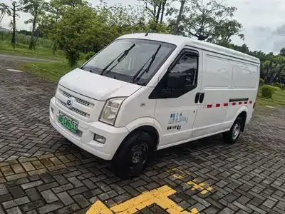Ruichi New Energy EC35 2021