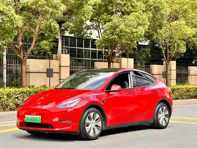 Tesla Model Y 2021