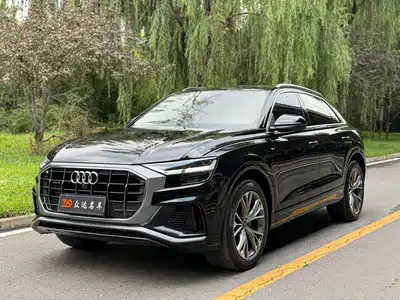 Audi Q8 2021