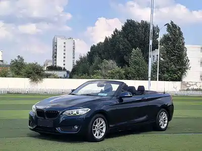 BMW 2 Series (Import) 2017