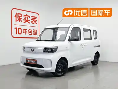 Wuling Motors Zhiguang NEV 2025
