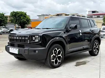Jetour Shanhai T1 2025