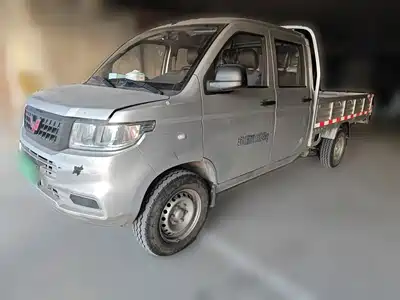 Wuling Motors Rongguang New Truck 2024