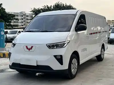 Wuling Motors Yangguang 2024
