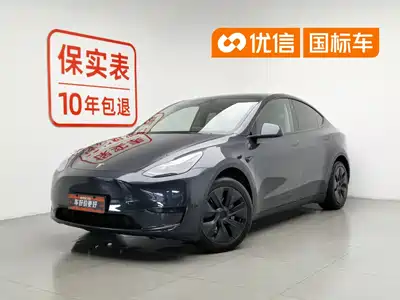 Tesla Model Y 2025