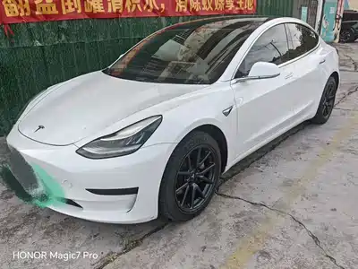 Tesla Model 3 (Import) 2019