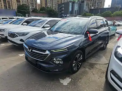 Wuling Motors Victory 2021