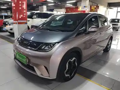 BYD Dolphin 2021