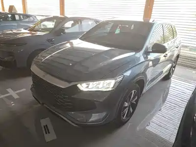 BYD Song Pro New Energy 2024