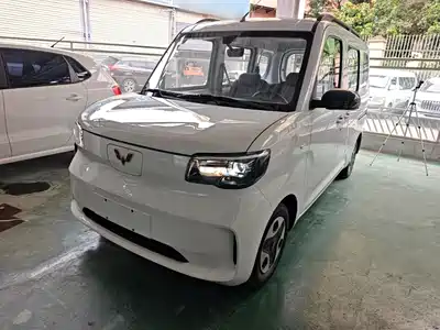 Wuling Motors Zhiguang NEV 2026