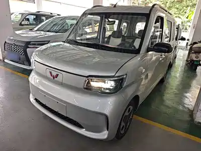 Wuling Motors Zhiguang NEV 2026