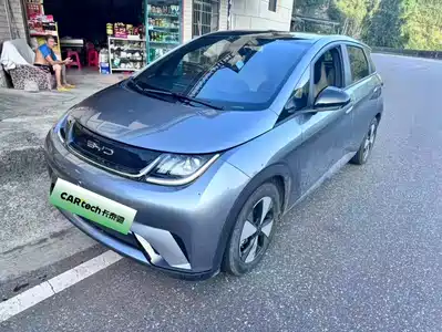 BYD Dolphin 2024