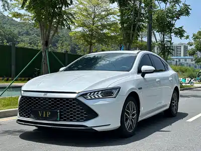 BYD Qin PLUS 2024