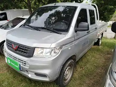 Wuling Motors Rongguang New Truck 2022